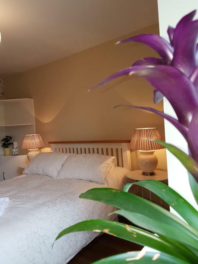 Glenbower House Apartment คอร์ก ภายนอก รูปภาพ